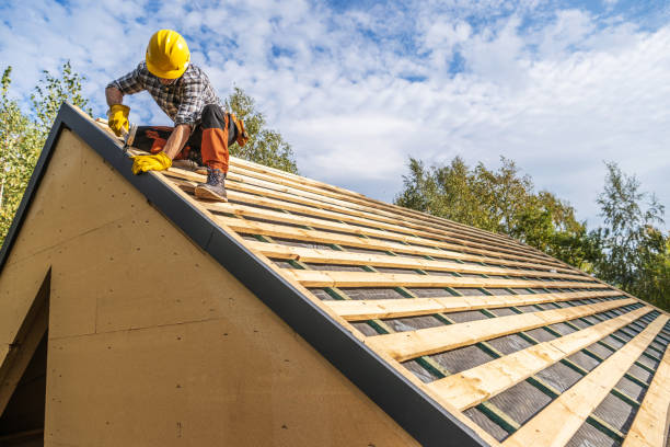 Best Storm Damage Roof Repair  in Scobey, MT